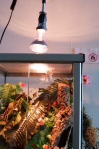IMG-20250309-WA0011[1]