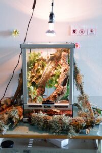 IMG-20250309-WA0013[1]